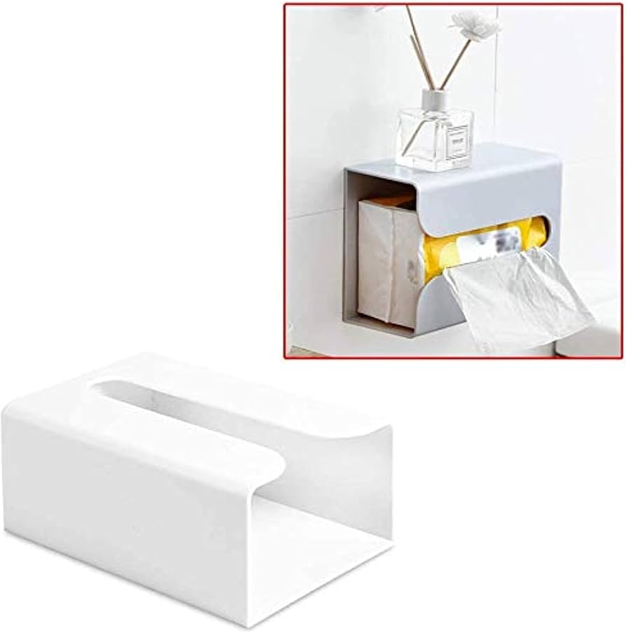 F/S WALL TISSUE HOLDER