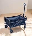 CAR TROLLEY 67X57X39CM