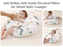 PILLOW 19938
