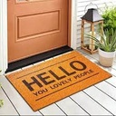 HOUSE INTRENCE CARPET